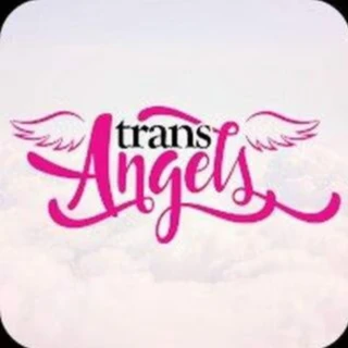 Trans Angels