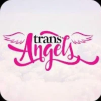 Trans Angels Trans Angels