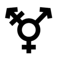 Trans Trans