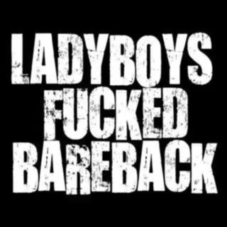 Lady Boys Fucked Bareback